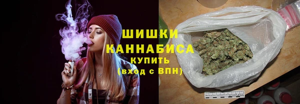 стафф Новозыбков
