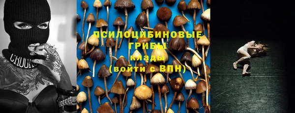 дмт Нея