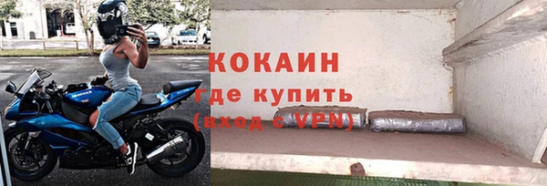 дмт Нея