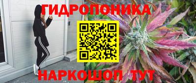 стаф Комсомольск-на-Амуре