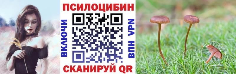 Галлюциногенные грибы Magic Shrooms  omg ТОР  Улан-Удэ  купить наркотик 