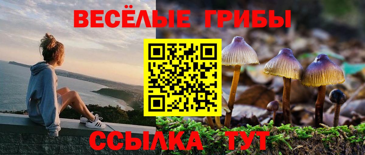 Улан-Удэ  Галлюциногенные грибы GOLDEN TEACHER  Галлюциногенные грибы Magic Shrooms  Вход с VPN 