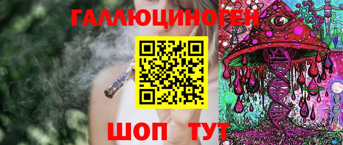 Псилоцибиновые грибы Psilocybine cubensis Улан-Удэ